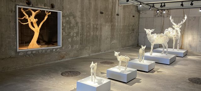 ARARIO Museum in Tapdong  Cinema