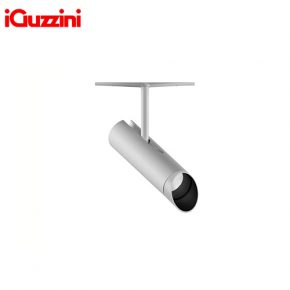 iGuzzini Robin Wallwasher
