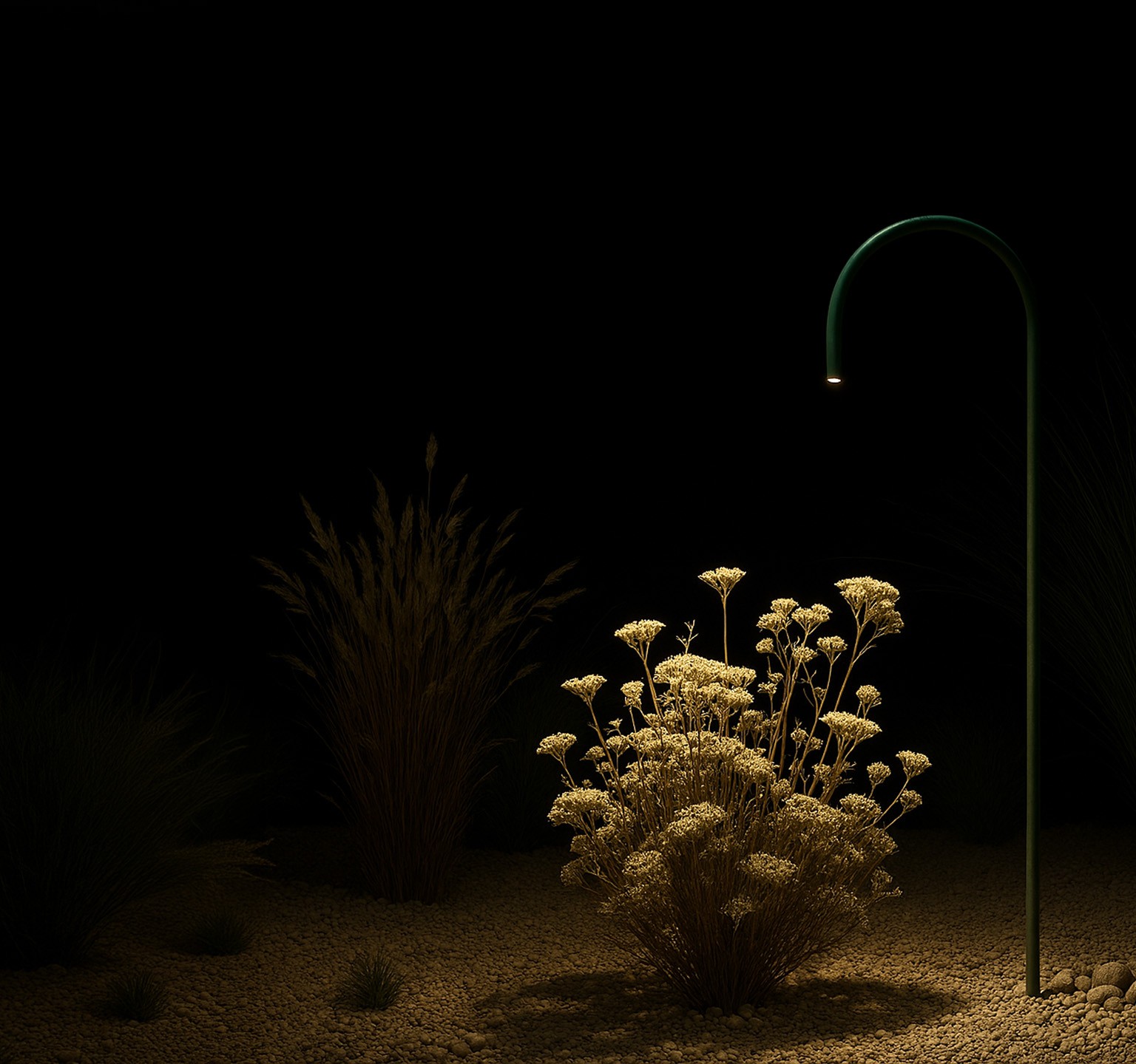 Twig Pine Green beside shrubs at night