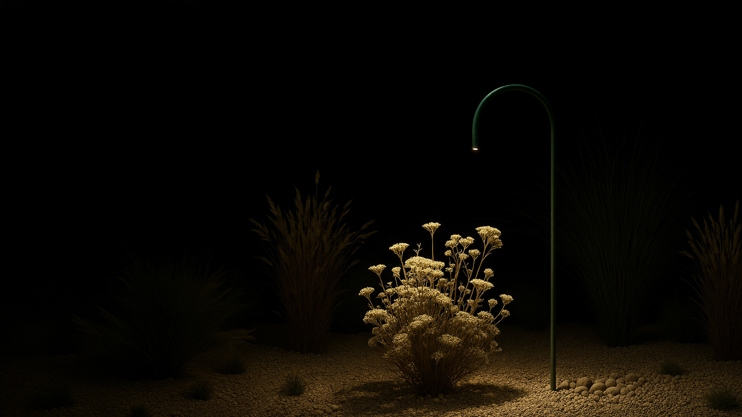 Twig in a garden at night