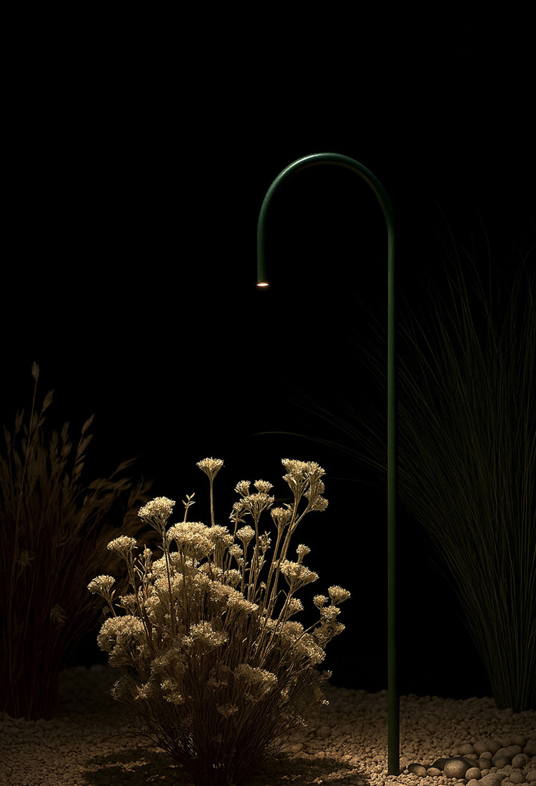 Twig Pine Green beside shrubs at night